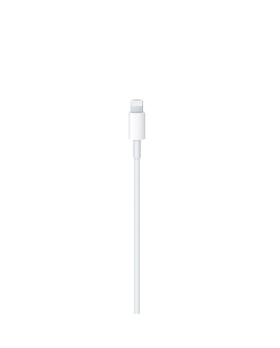 Apple Cavo USB-C a Lightning (1m) MM0A3ZM/A