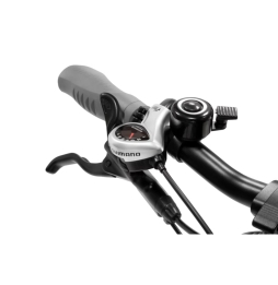 E-bike Pieghevole Argento Bi Max XL - AR-BI-220007