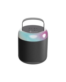 Techmade Speaker Karaoke black