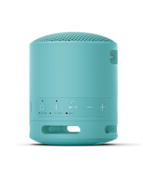 Sony srs-xb100 speaker wirless bluetooth blu