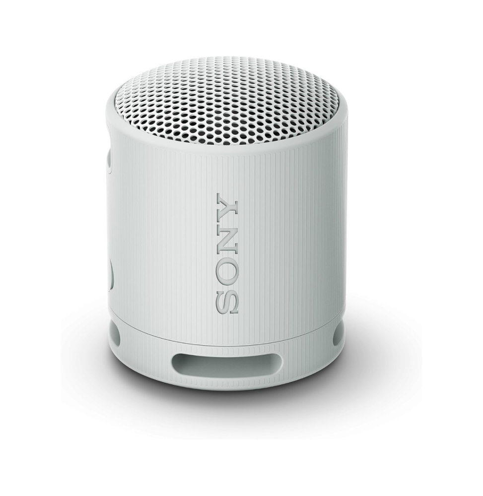 Sony srs-xb100 speaker wirless bluetooth grigio