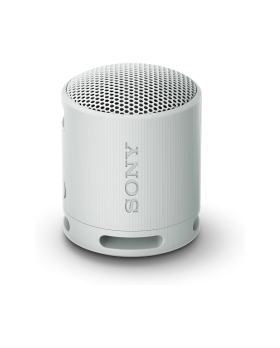 Sony srs-xb100 speaker wirless bluetooth grigio
