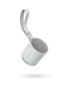 Sony srs-xb100 speaker wirless bluetooth grigio
