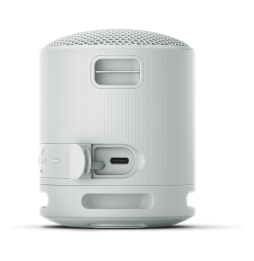Sony srs-xb100 speaker wirless bluetooth grigio