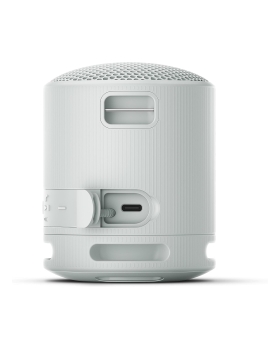 Sony srs-xb100 speaker wirless bluetooth grigio