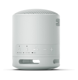 Sony srs-xb100 speaker wirless bluetooth grigio