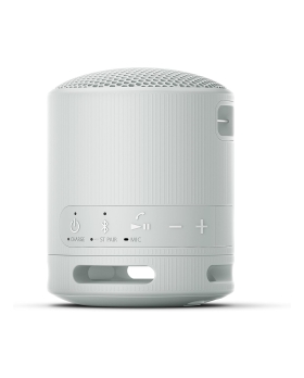 Sony srs-xb100 speaker wirless bluetooth grigio