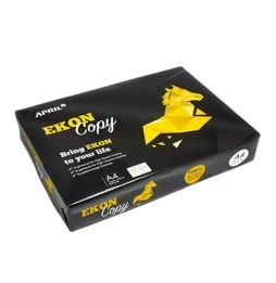 Ekon Confezione 1 Risma da 500 Fogli A4