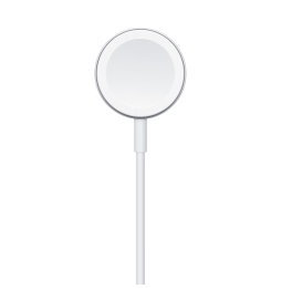 Apple Cavo Magnetico Ricarica Apple Watch USB-A 1m MW6A3ZM/A