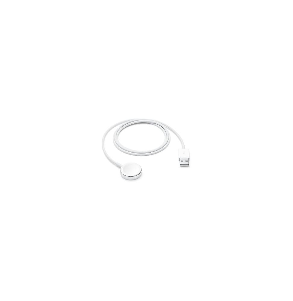 Apple Cavo Magnetico Ricarica Apple Watch USB-A 1m MW6A3ZM/A
